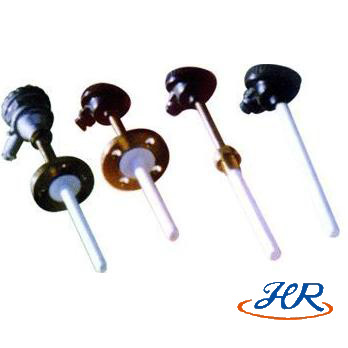 防腐熱電(diàn)阻